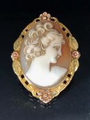 10ct gold Cameo, carved shell portrait cameo of a young woman set in a 2 colour gold frame of leaf