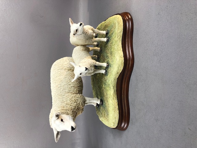 Border fine Arts figurines, two studies ,Texel Ewe and lambs limited edition 233 of 1,500 and a - Image 6 of 9