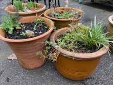 Collection of four terracotta garden pots (A/F)