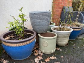 Collection of seven ceramic garden pots, several containing roses
