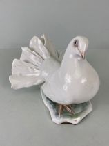 Collectable China, Rosenthal Germany porcelain fan tail white dove, the base with Rosenthal trade