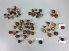 Militaria interest, collection of British regimental buttons relating to Devon and Dorset, to