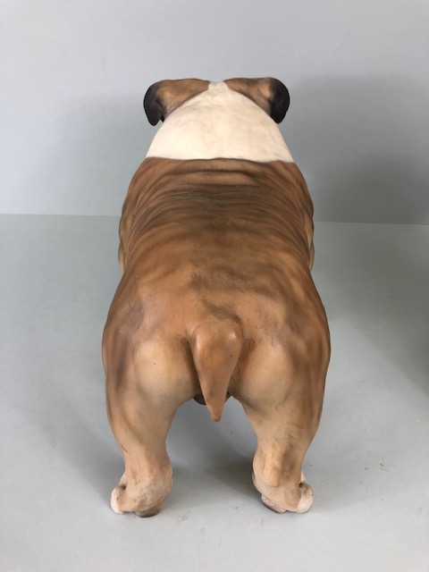North Light large (approx 23cm tall) resin figure of an English Bulldog and a similar sized - Image 8 of 10