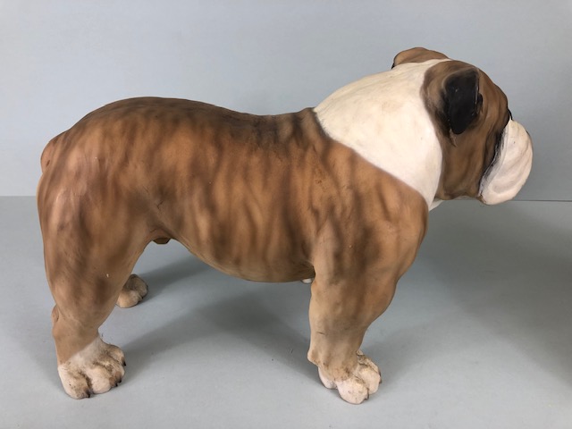 North Light large (approx 23cm tall) resin figure of an English Bulldog and a similar sized - Image 7 of 10