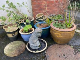 Large selection of glazed garden pots, approx 12, and plants