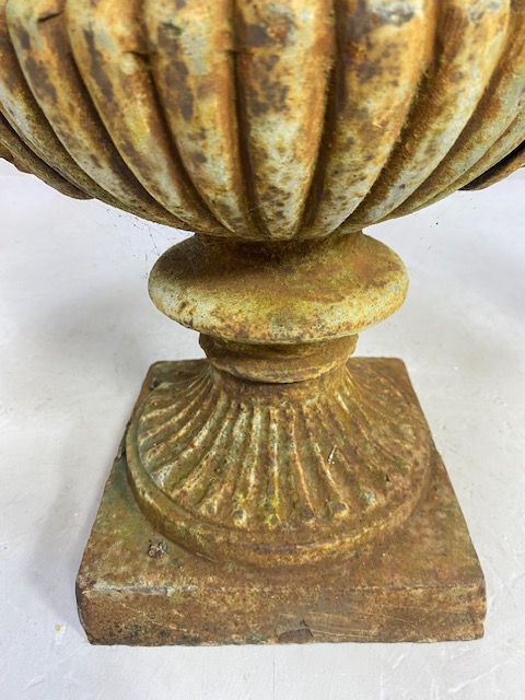 Pair of Wrought Iron Garden Urns with Lion finial handles, flared rims on square bases each approx - Image 5 of 13