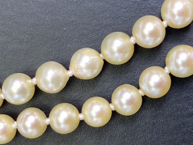 cultured pearls with 18ct gold and Diamond clasp, double strand necklace of graduated cultured - Image 5 of 7