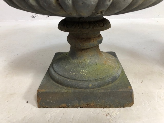 Pair of wrought iron garden planters or Urns of classical style with flared rims (approx 48cm in - Image 6 of 10