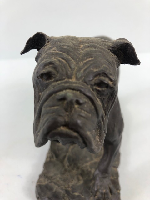 Cold cast bronze study of a bull dog plinth with signature (illegible) approximately 14cm high along - Image 3 of 5