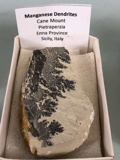 Mineral, Crystal, Geology interest, collection of geological and Fossil specimens to include - Image 10 of 17
