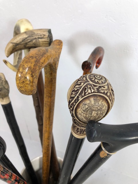 Collection of walking sticks in a ceramic stick stand , various designs, faux amber, faux bone, horn - Image 7 of 12