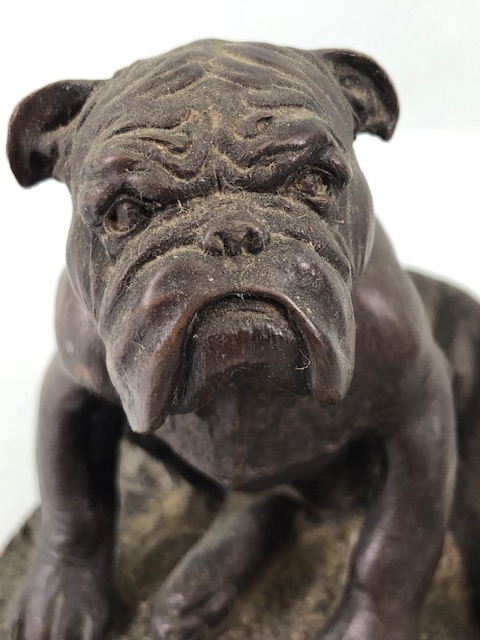 Cold cast bronze study of a bull dog plinth with signature (illegible) approximately 14cm high along - Image 5 of 5