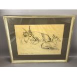 Pencil study titled 'Eland Antelope S. Africa', signed M. Wells, approx 43cm x 31cm