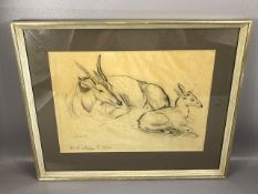 Pencil study titled 'Eland Antelope S. Africa', signed M. Wells, approx 43cm x 31cm