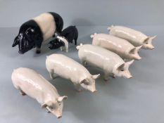 Beswick, collection of vintage pig figures, CH Wall Queen 40 (chip to ear), CH wall Champion boy