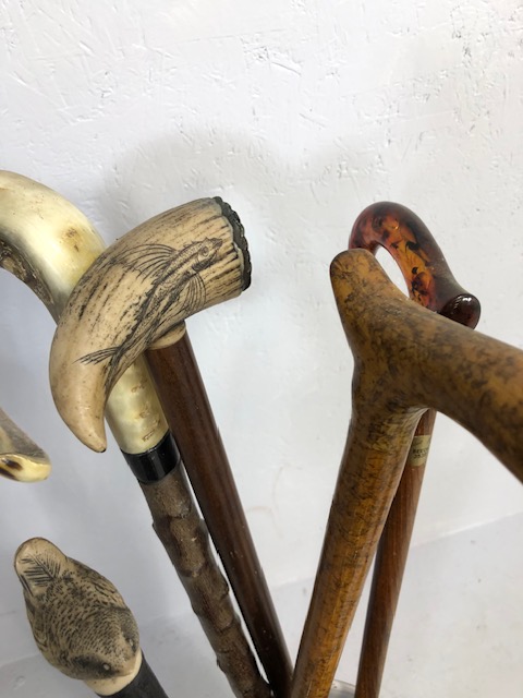 Collection of walking sticks in a ceramic stick stand , various designs, faux amber, faux bone, horn - Image 5 of 12