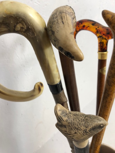 Collection of walking sticks in a ceramic stick stand , various designs, faux amber, faux bone, horn - Image 3 of 12