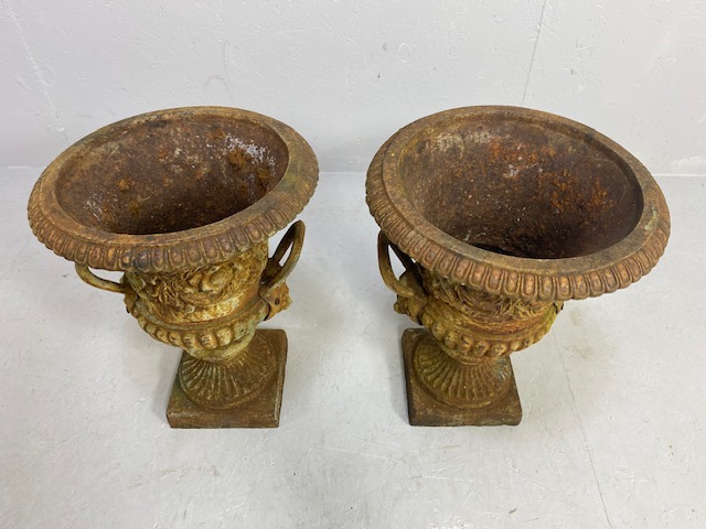 Pair of Wrought Iron Garden Urns with Lion finial handles, flared rims on square bases each approx - Image 2 of 13