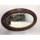Antique mirror early 19th century oval bevel glass mirror in flame mahogany and ebonised frame