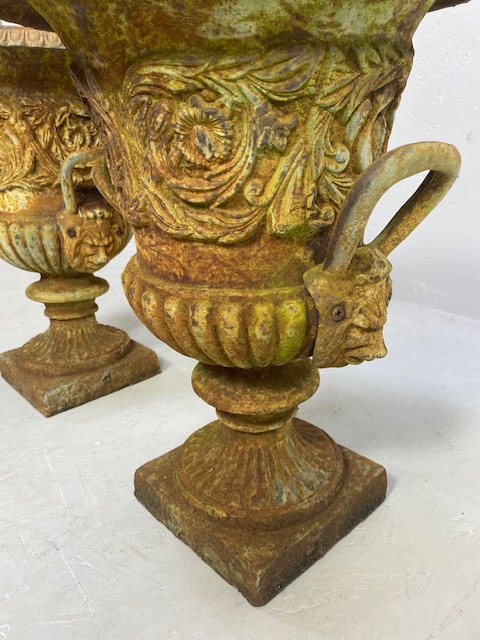 Pair of Wrought Iron Garden Urns with Lion finial handles, flared rims on square bases each approx - Image 10 of 13