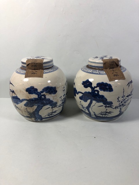 Pair of Blue and White Chinese ginger jars with paper labels, each approximately 22cm high