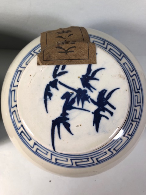 Pair of Blue and White Chinese ginger jars with paper labels, each approximately 22cm high - Image 7 of 12