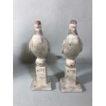 Pair of Doves or pigeons sat on square column bases each approximately 35cm high, composite material
