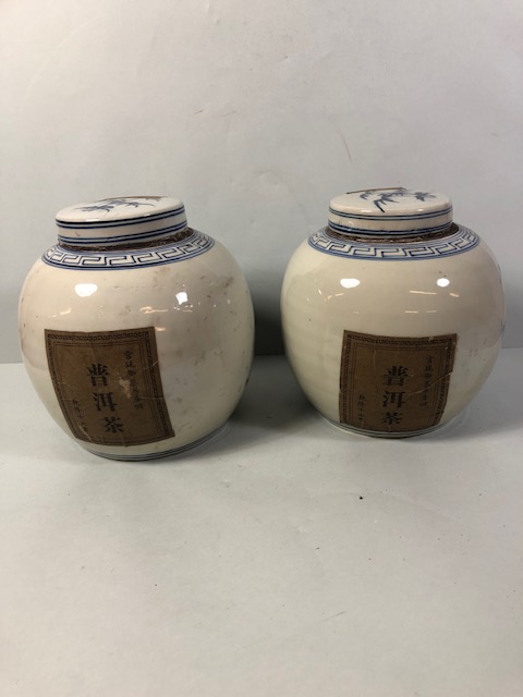 Pair of Blue and White Chinese ginger jars with paper labels, each approximately 22cm high - Image 4 of 12