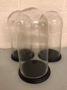 Vintage Glass display domes, three of similar size with black bases each approximately 40cm high and