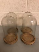 Glass display domes with wooden bases each approximately 19 x 10cm