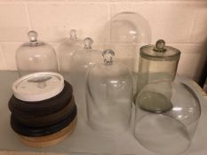 Glass display domes and glass cloche domes of varying size, a selection wooden dome bases and a