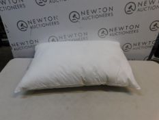 1 SNUGGLEDOWN PILLOW RRP Â£44.99