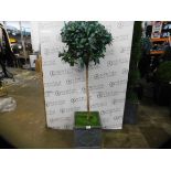 1 REALISTIC ARTIFICIAL PLANT IN PLANTER RRP Â£149