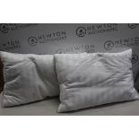 1 SET OF 2 HOTEL GRAND DOUBLE TOP GOOSE FEATHER & GOOSE DOWN PILLOWS RRP Â£39.99