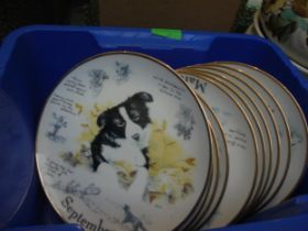Small collection of ceramic wall plates of various breeds of dogs