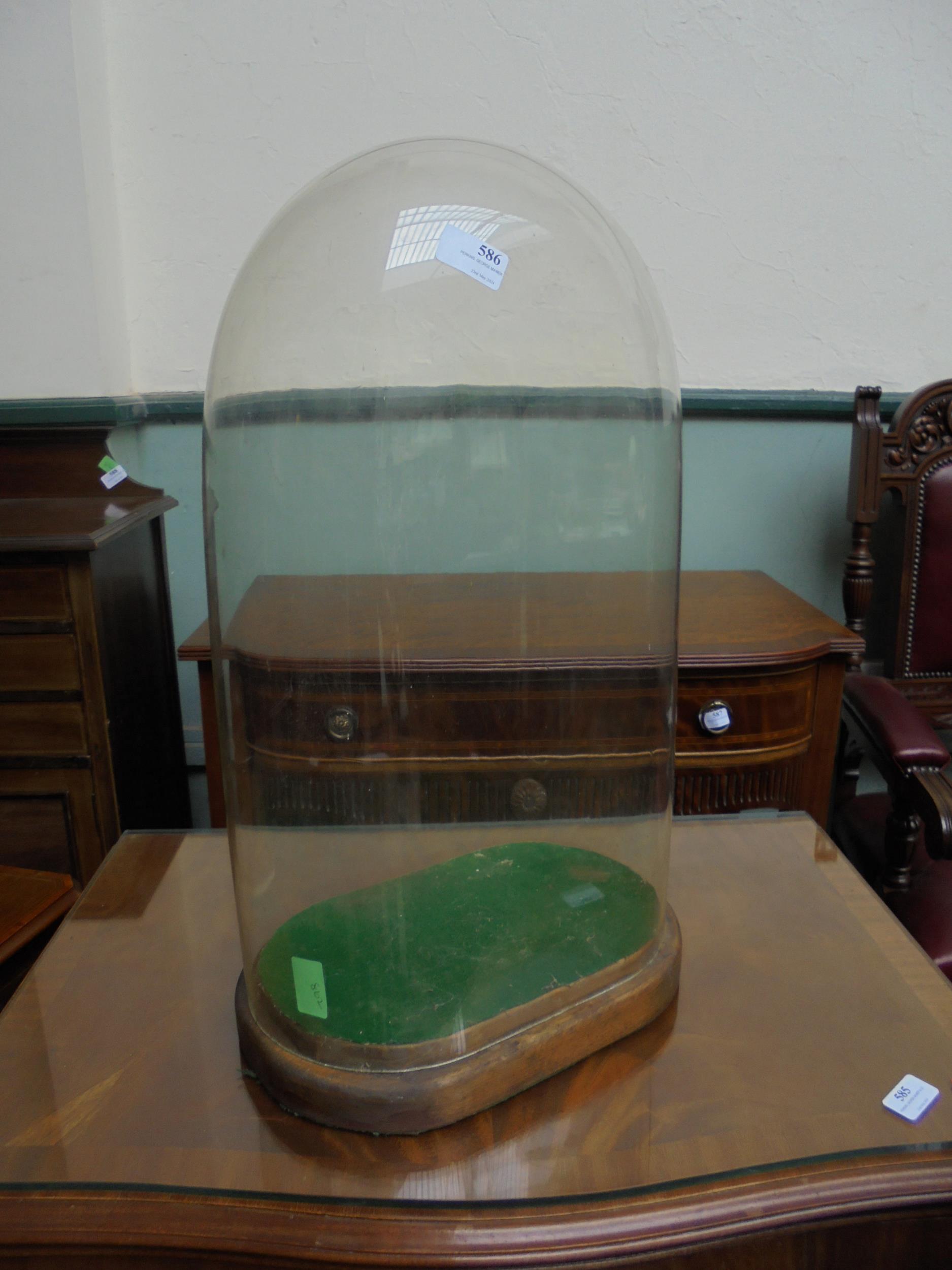 Original glass Victorian domed stand on oak base with felt liner