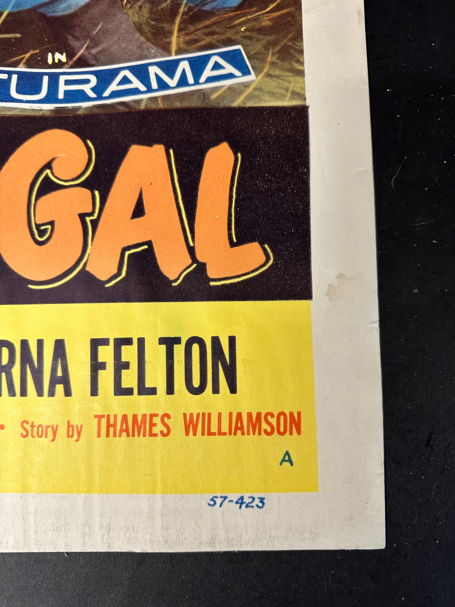 An original USAVariety Production film poster for Taming Sutton's Gal starring John Lupton, Gloria - Image 10 of 13