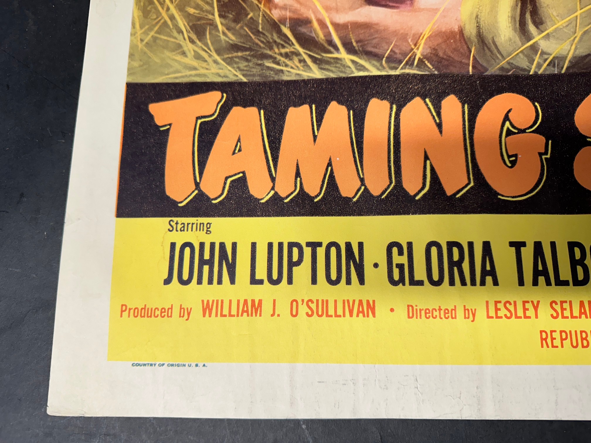 An original USAVariety Production film poster for Taming Sutton's Gal starring John Lupton, Gloria - Image 13 of 13
