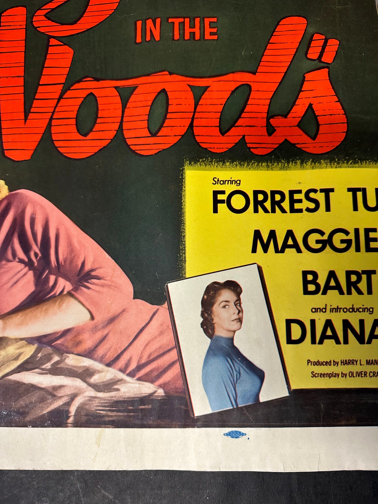 An original USA film poster for AB-PT's Girls in The Woods starring Forrest Tucker, Maggie Hayes, - Image 6 of 11