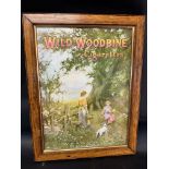 A Wild Woodbine Cigarettes framed and glazed showcard depicting a mother and daughter collecting