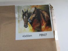 Horse Number-Coded Colour Canvas 40x50cm - Packaged.