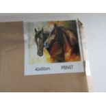 Horse Number-Coded Colour Canvas 40x50cm - Packaged.