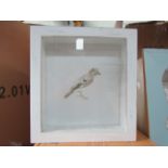 Display Cabinet W16cm x H24cm x D7cm RRP ?45, new (DR756)