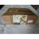 Asab 24pcs Artificial Gold Glitter Flower Decoration - Unchecked & Boxed.