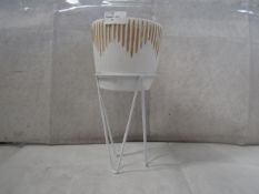 ChapterB - Small Planter With White Wire Stand - Boxed.
