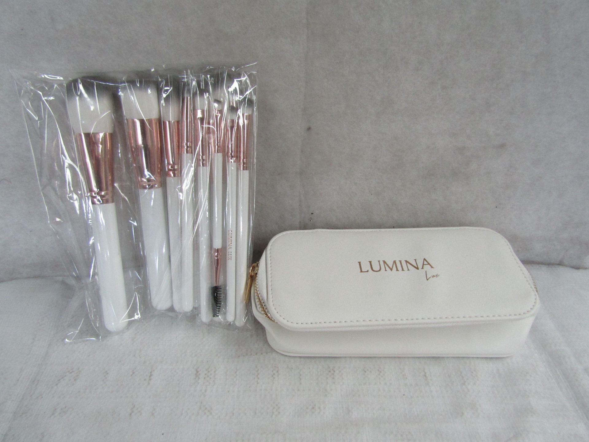 Lumina Lux 12 piece Brush set and carry case, new