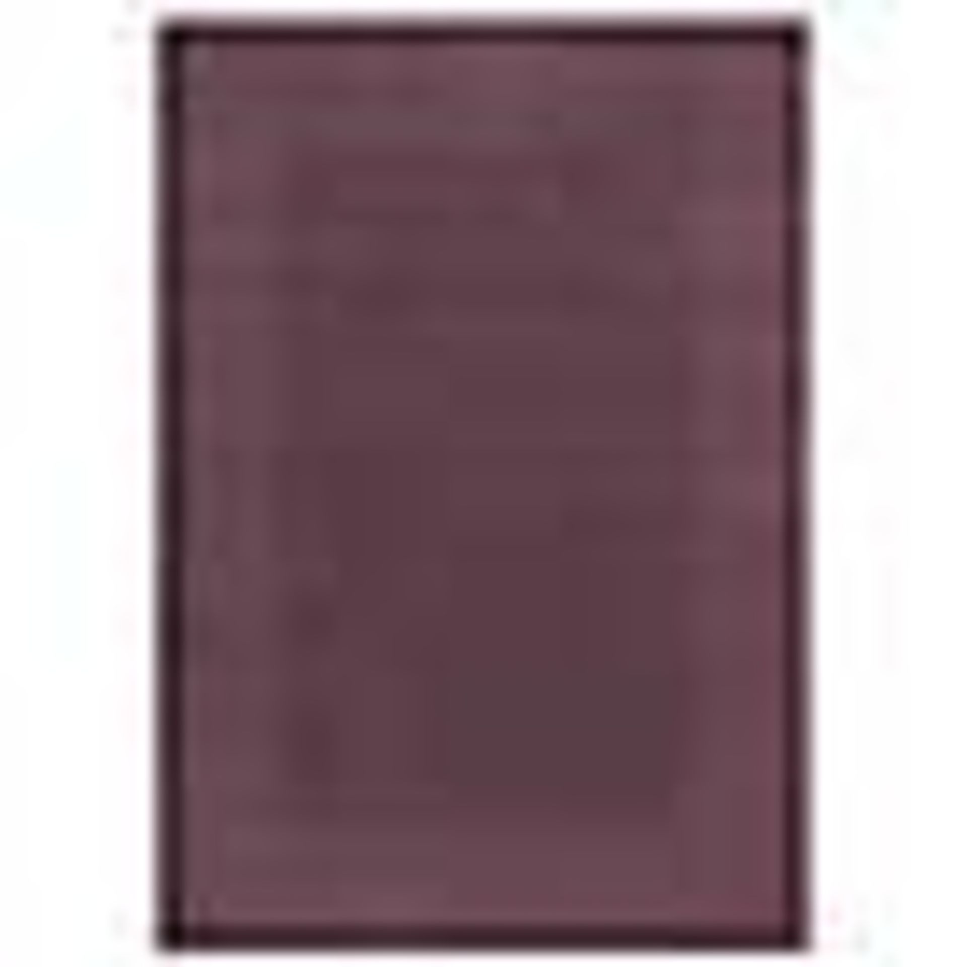 Tuscany D040 Rug Boston Wool Border Plum Rectangle 160X230cm RRP 129 About the Product(s) Tuscany - Image 2 of 3