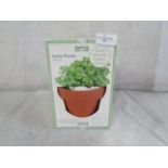 Italian Parsley Grow Kit - Boxed.