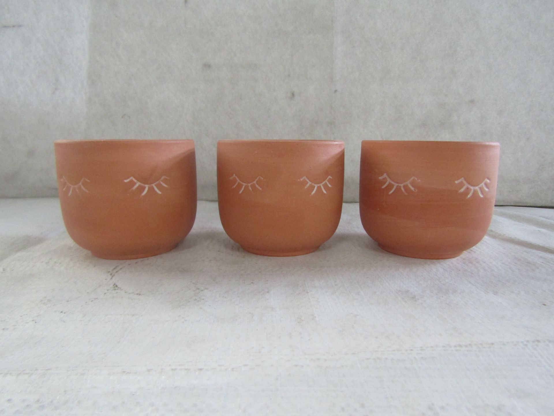 Sass & Belle - Set of 3 Terracotta Mini Eyes Shut Planters - New.