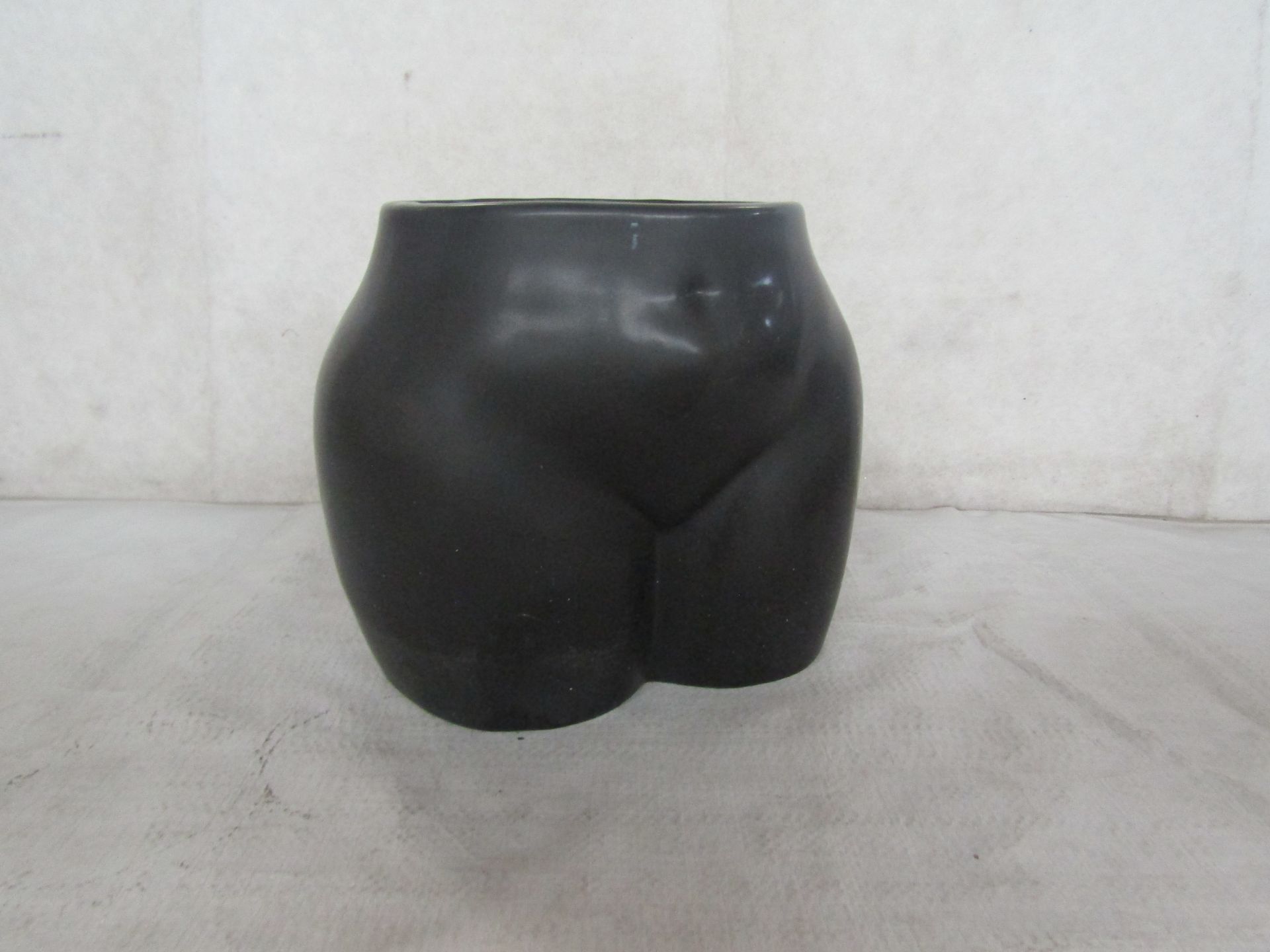 Sass & Belle - Large Body Planter - New & Boxed.